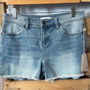 Carve Designs Denim Blue Jean Shorts